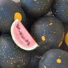 Van Doren Moon and Stars Watermelon Tarot Garden + Gift Seed Packet